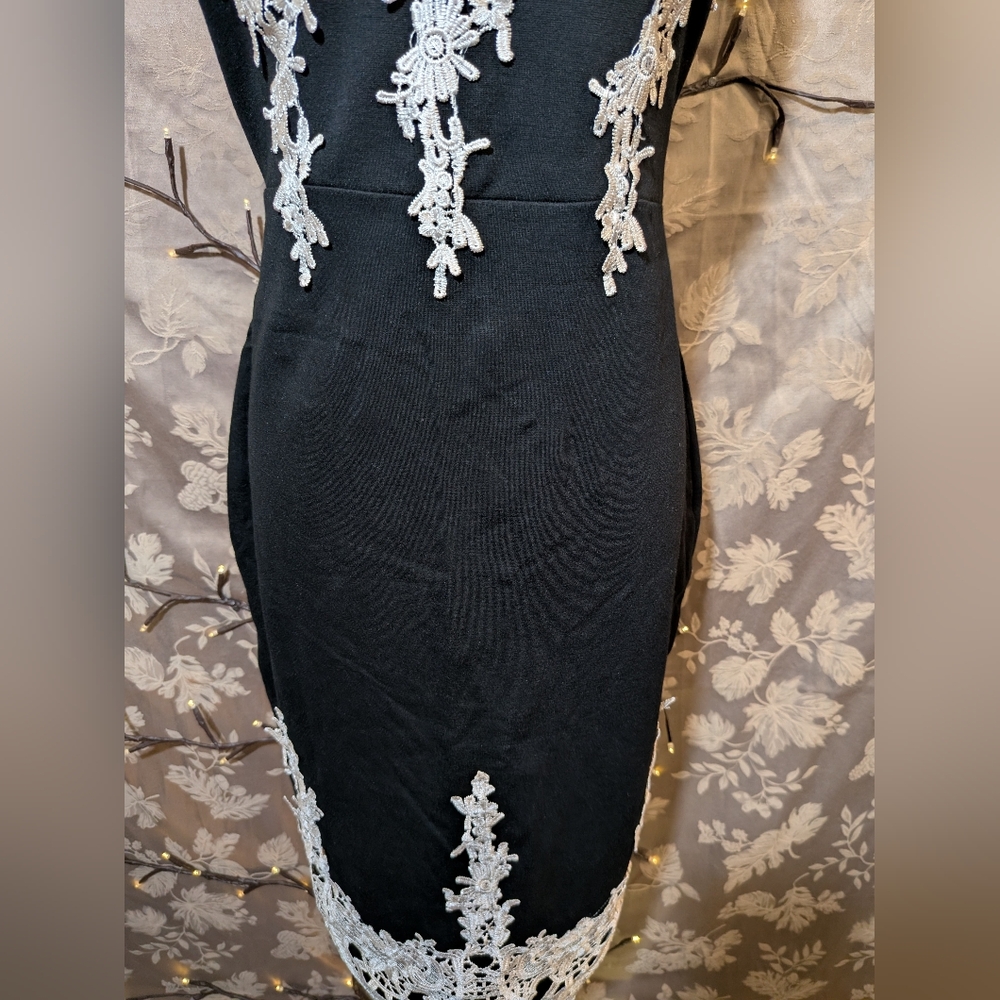 Haute Monde Black And White Lace Dress, Size L, NWT! - Picture 3 of 7